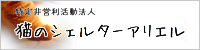 NPO法人 猫のシェルター アリエル 正会員