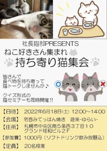 猫好き集まれ！猫持ち寄り集会開始です。